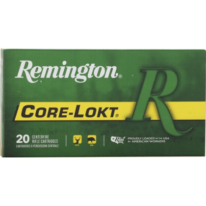 REMINGTON 243 WIN 100GR PSP